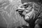 Huge reptile iguana portrait in black and white