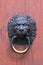 Huge restored bronze door with brass lions