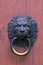 Huge restored bronze door with brass lions