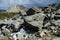 Huge rockfall in the Ansel Adams Wilderness, Sierra Nevada Range, California