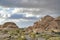 Huge rocks road and joshua trees at Joshua Tree National Park in California