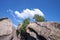 Huge rocky boulder formations high in mountains with growing trees on summer sunny day