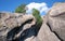 Huge rocky boulder formations high in mountains with growing trees on summer sunny day