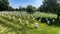 Huge rows of tombs with white marble tombstones at Arlington National Military Cemetery in Washington DC.