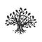 Huge and sacred oak tree silhouette logo isolated on white background.