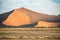 A huge sand dune, covered by rare dry Namibian vegetation