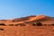 huge sand dunes in the Namib Deser
