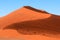 Huge sand dunes of Namibia desert