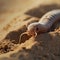 Huge Sand Worm, Giant Sandworm Raising Up From the Desert Depths, Little Man in Black