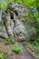 Huge sandstone rock formation on a hill surrounded by greenery and green trees in the background