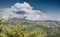 Huge smoke from a forest fire over the distant mountains with pine trees on foreground