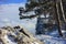 A huge snow-covered fir tree on the mountainside against the background of mixed mountain forest