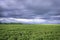 Huge soybean plantation in Brazil