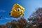 Huge Spongebob Square pants balloon shown at the Macy`s Thanksgiving Parade