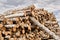 Huge stack of birch logs prepared for processing