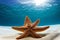 Huge starfish on the sea floor beneath sparkling blue waters
