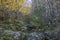 Huge stone boulders covered with moss in the autumn forest.