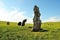 Huge stone menhirs in ancient burial places in the center of a picturesque hilly valley