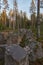 Huge stones, many coniferous trees