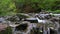 Huge stones in middle of fast mountain river. Wild forest river background