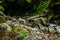 The huge stones near the waterfall Casaroro. Philippines. Valencia, island Negros.