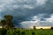 Huge storm in the field. Gray clouds with rain lines in the distance. Animals eating in the field while the storm passes