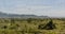 Huge swarm of locusts in Omo valley, Ethiop