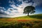 A huge tree with fresh green leaves on a meadow and blooming flowers field with white clouds on blue sky