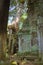 Huge tree growing over a stone gate on the inner courtyard of Ta Prohm temple, in Angkor Wat complex near Siem Reap, Cambodia.