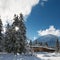 Huge trees and timber cabins in winter