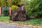 A huge uprooted stump on the side of a country road