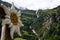 Huge waterfall meanders over several steps into the valley with a wooden edelweiss blossom