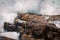 Huge wave crashing rocky coastline in Hermanus, South Africa