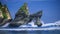 Huge Wave hitting the Rock in the ocean at Atuh beach on Nusa Penida island, Indonesia