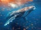 huge whale underwater closeup