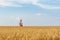 Huge wheat field and young girl in distance. Vacation in countryside