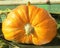 Huge wonderful golden yellow orange austrian pumpkin on a happy sunny day