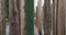 Huge wooden posts with beautiful texture. Green society concept