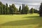 Huge yellowed field in park Sigurta