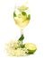 Hugo Cocktail with Elderberry Blossom and Lime on white Background