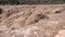 Hukou Waterfall of Yellow River