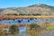 Hula Lake nature reserve, Hula Valley, Israel