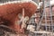 The hull and propeller of a fishing boat during renovation in the port of Wladyslawowo