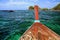 Hull of Wooden boat at snorkel diving spot at Koh Lipe