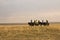 The hulunbuir prairie