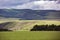 The hulunbuir prairie in Inner Mongolia, China