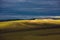 The hulunbuir prairie landscape.