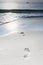 Human adult footprint in the sand at the beach