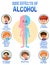Human anatomy diagram cartoon style of alcohol side effects