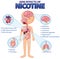 Human anatomy diagram cartoon style of nicotine side effects